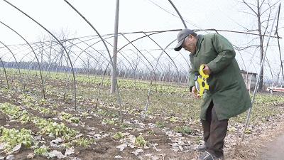 现场直击！睢宁高铁综合交通枢纽建设又有新进展！