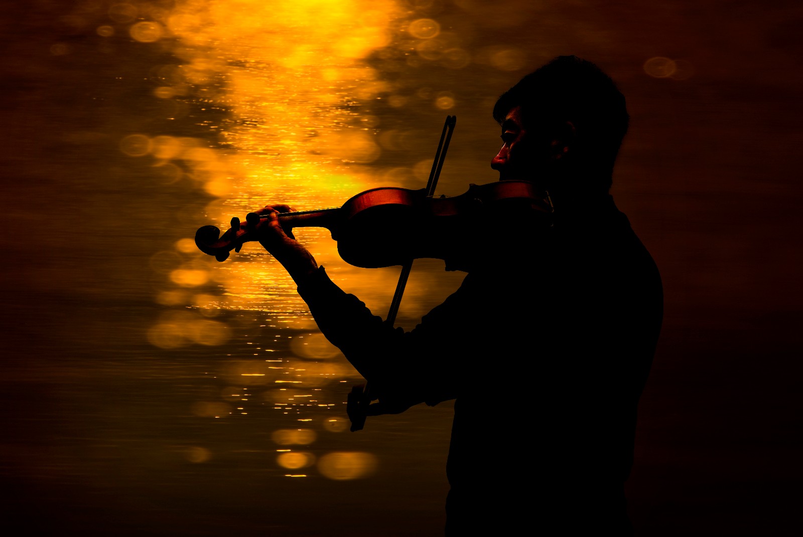 南阳市教育局庄克宇:艺术装满人生路梦想开花终有时