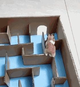 最近总是中奖意味着什么,为什么最近老是会中奖呢