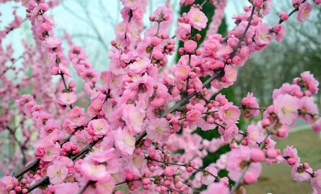 晋城司徒小镇异域风情,晋城皇城相府和司徒小镇