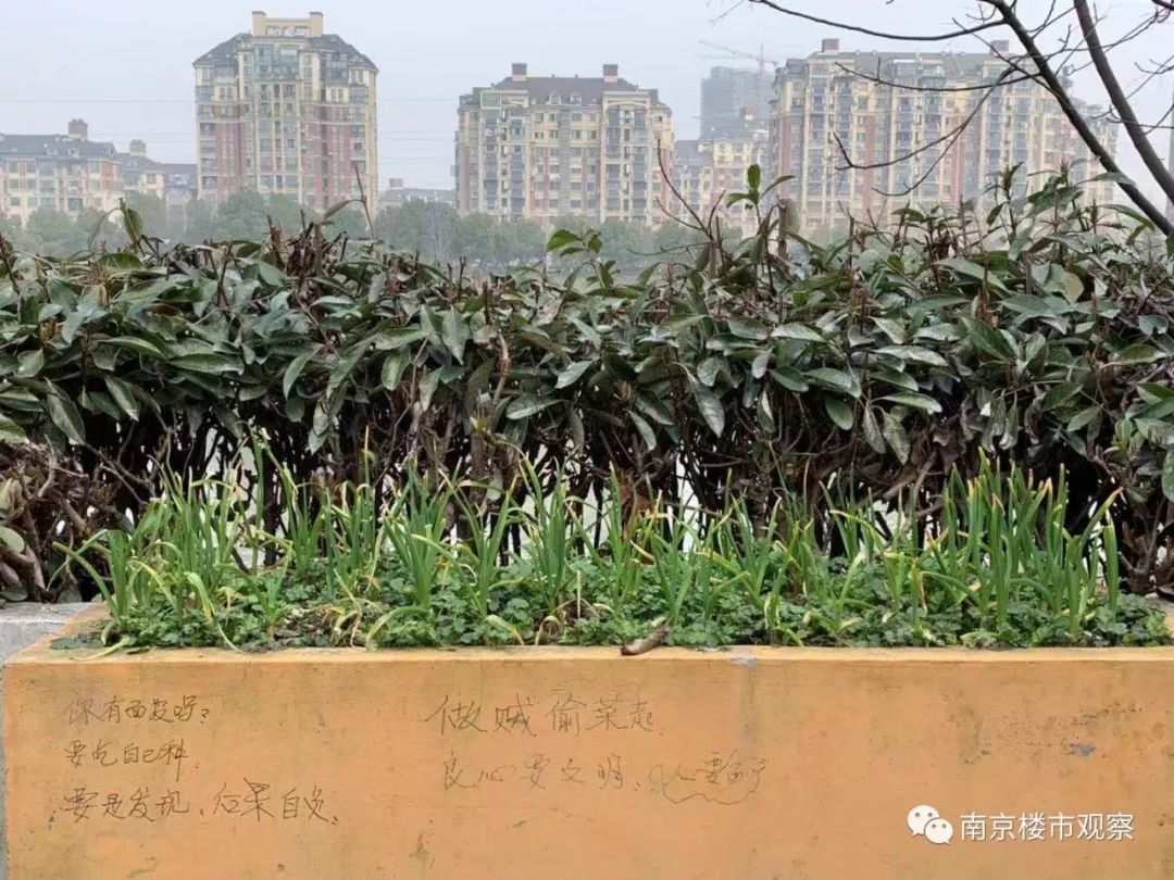 房价从1万8跌到7千多,房价腰斩老业主羡慕嫉妒恨