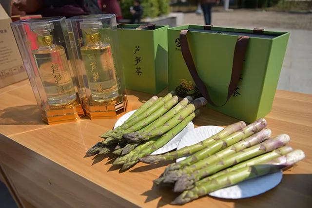 河南上蔡：诞生“芦笋王”单棵拍卖300元