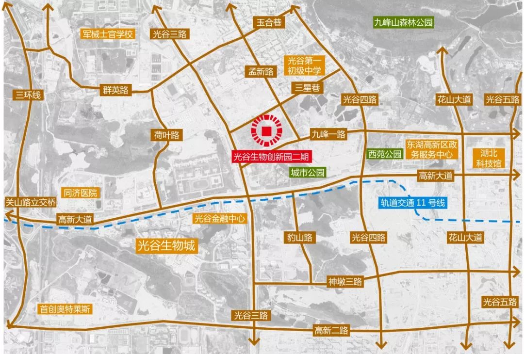 开挂了！比肩世界的爆款区域利好多到数不清！一般人已高攀不起