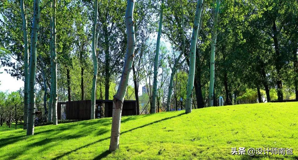 社区环境改造案例,改造家庭教育环境