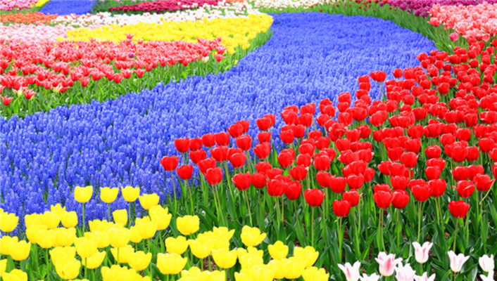 非法场外配资实盘有多大的罪,非法经营配资