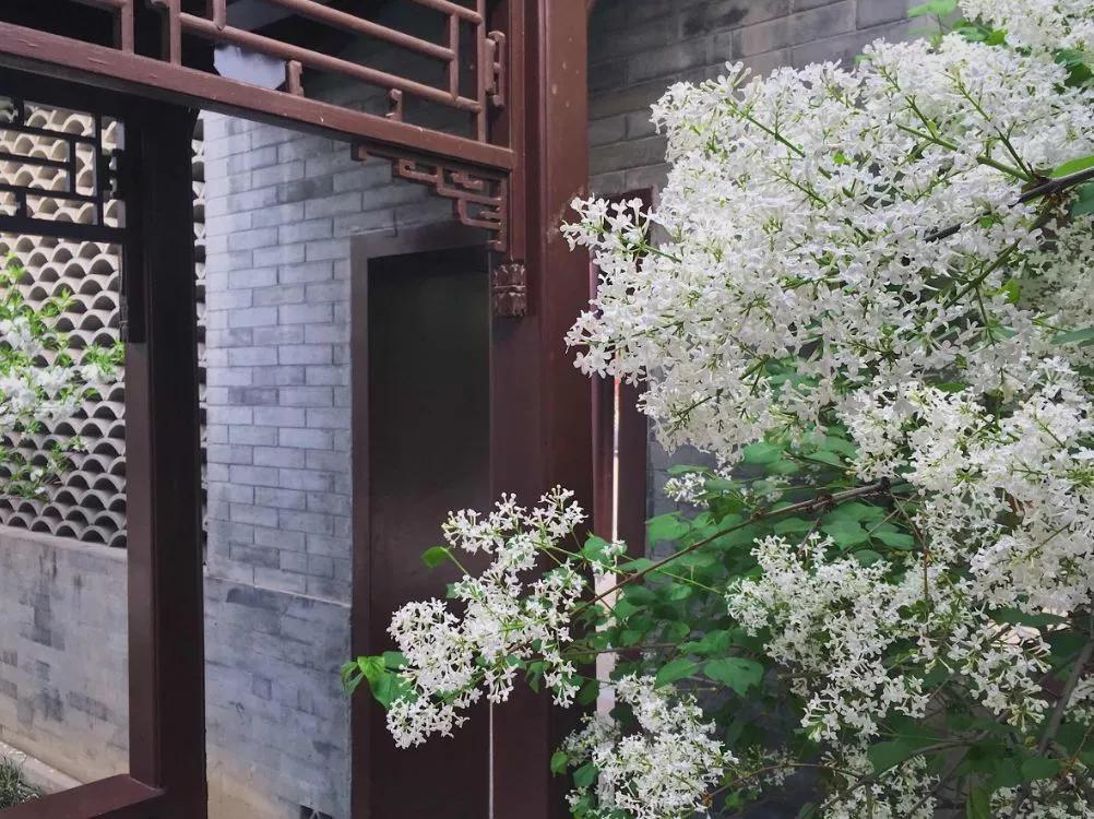 最美老院子,中国人的老院子