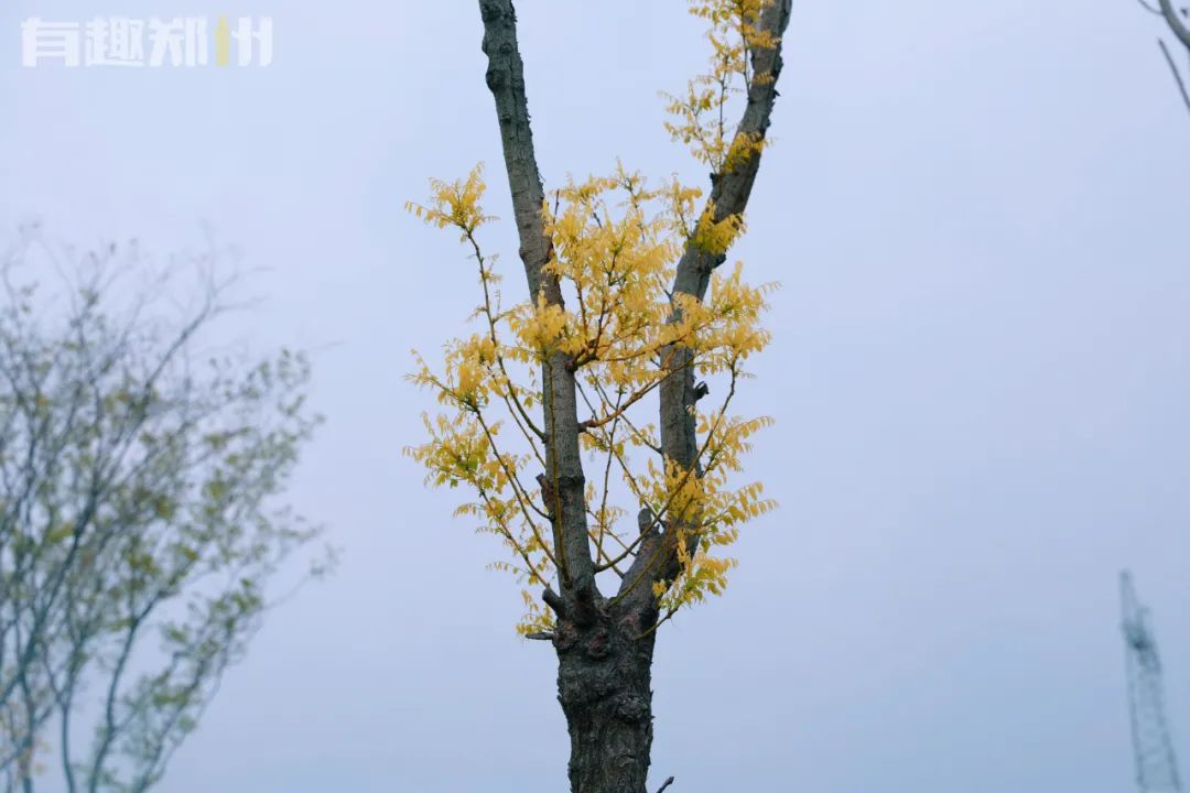 郑州周边人少清静有山有水的地方,郑州人少的公园适合野营