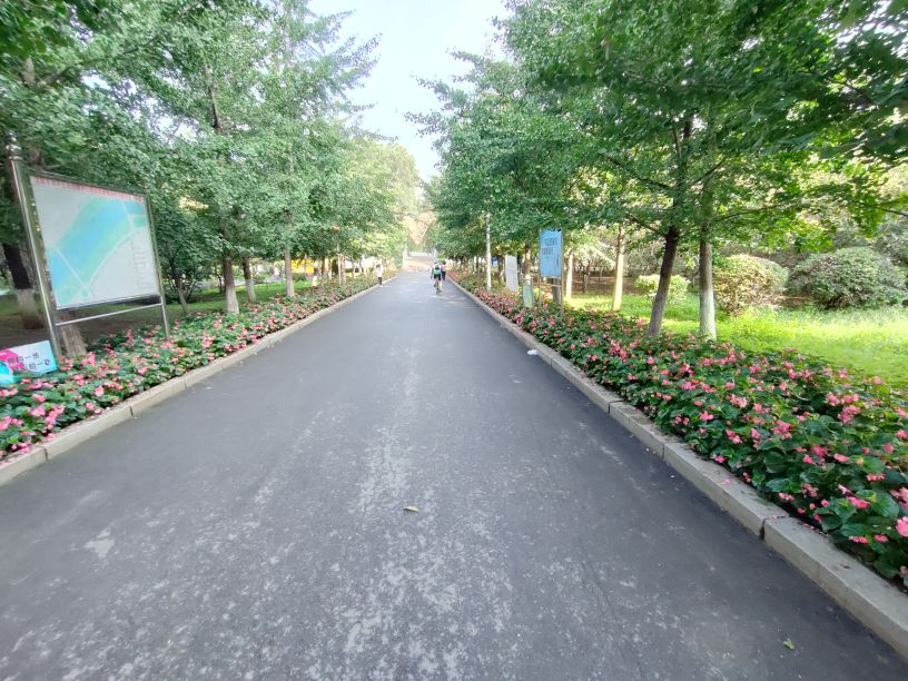 沈阳优待证免费的景点,沈阳70岁以上免费景点