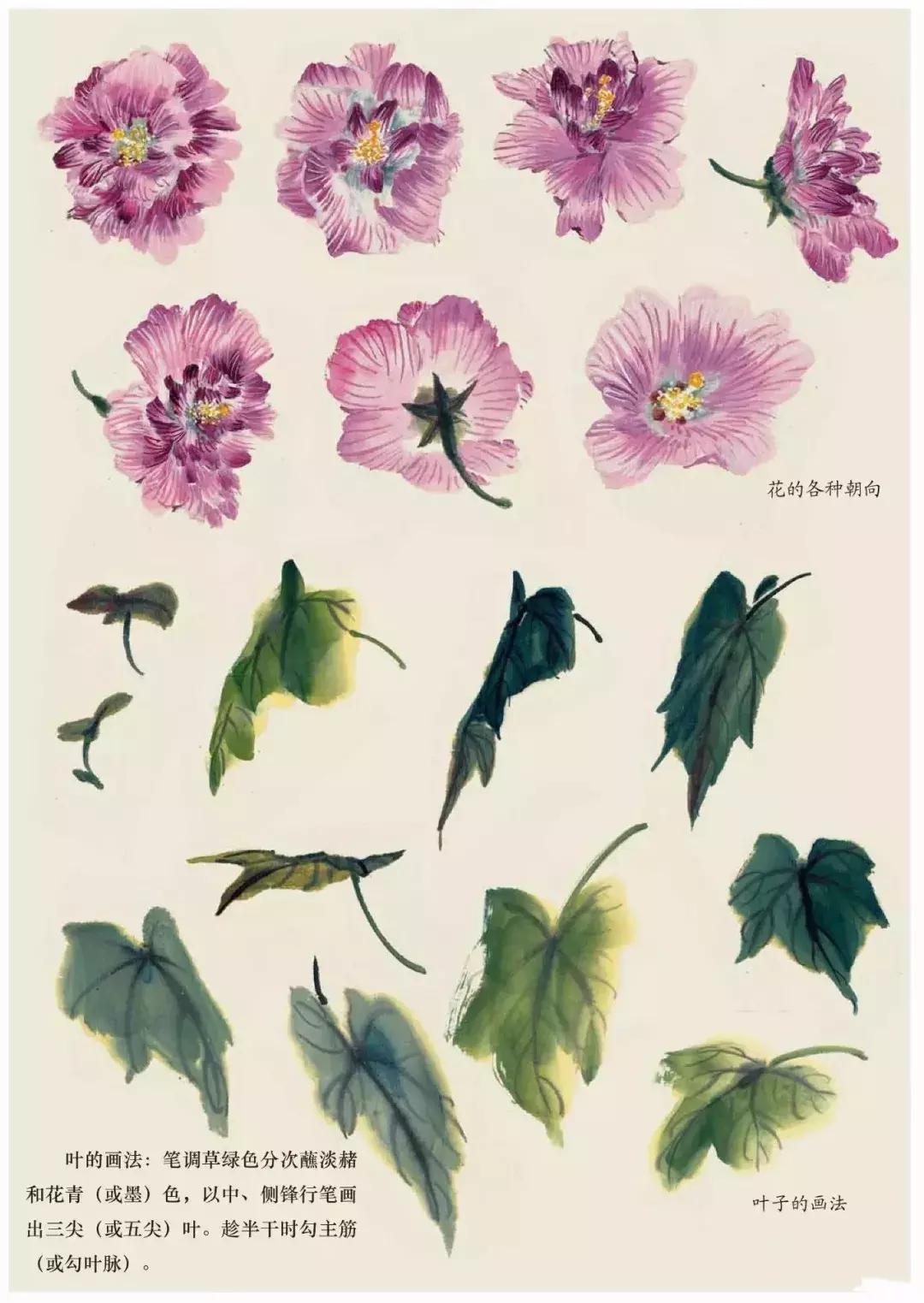 国画中各种花卉的画法,国画花卉画法步骤视频教程