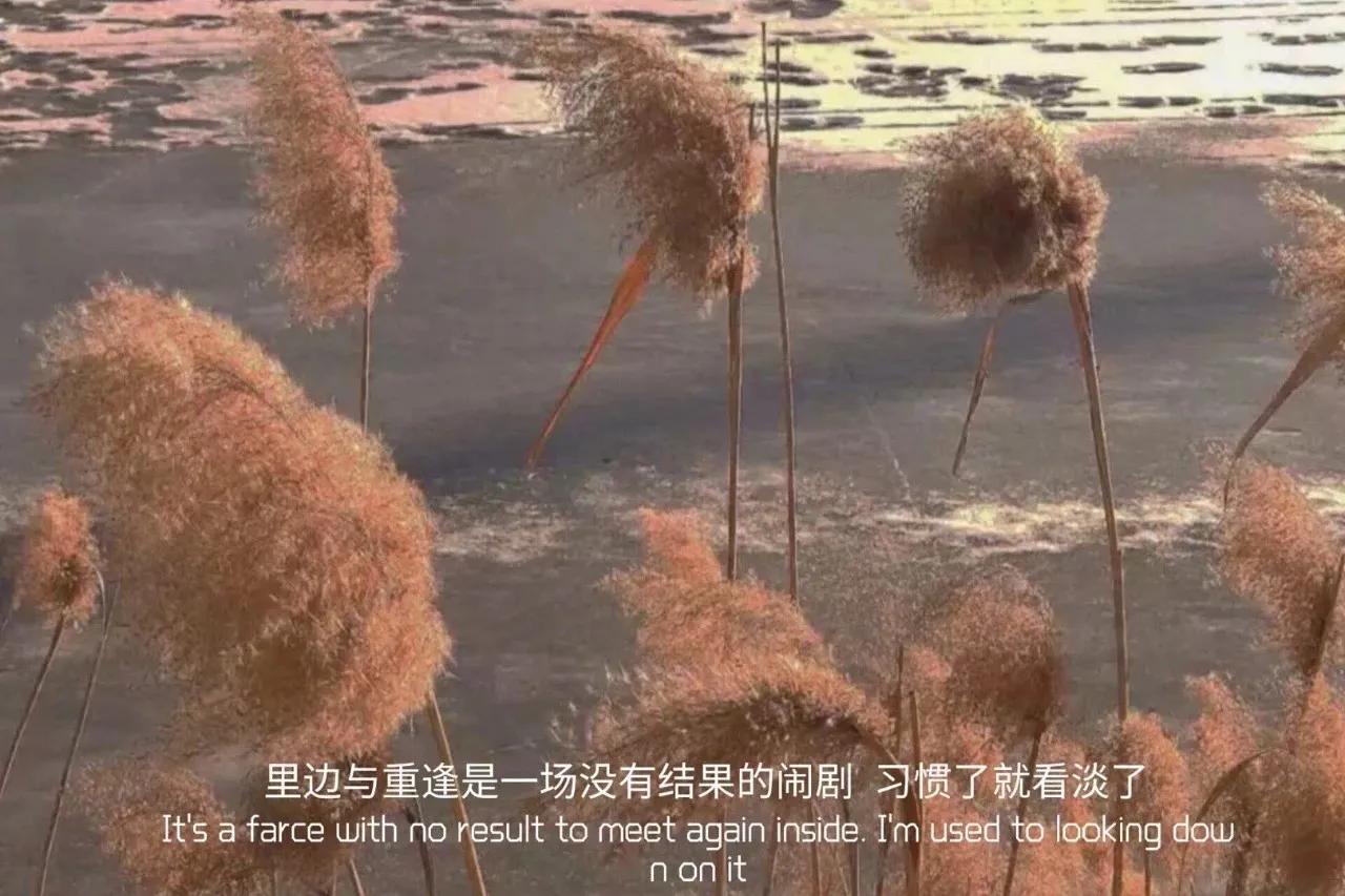 后来我抽的烟还是长白山只是如果没有的话芙蓉王也行