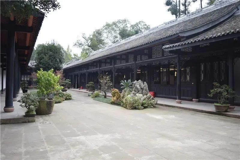 杜甫格律,乐天派辛夷