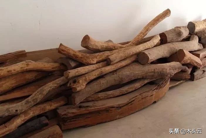 木材本身什么味道,未见其木先闻其味什么意思