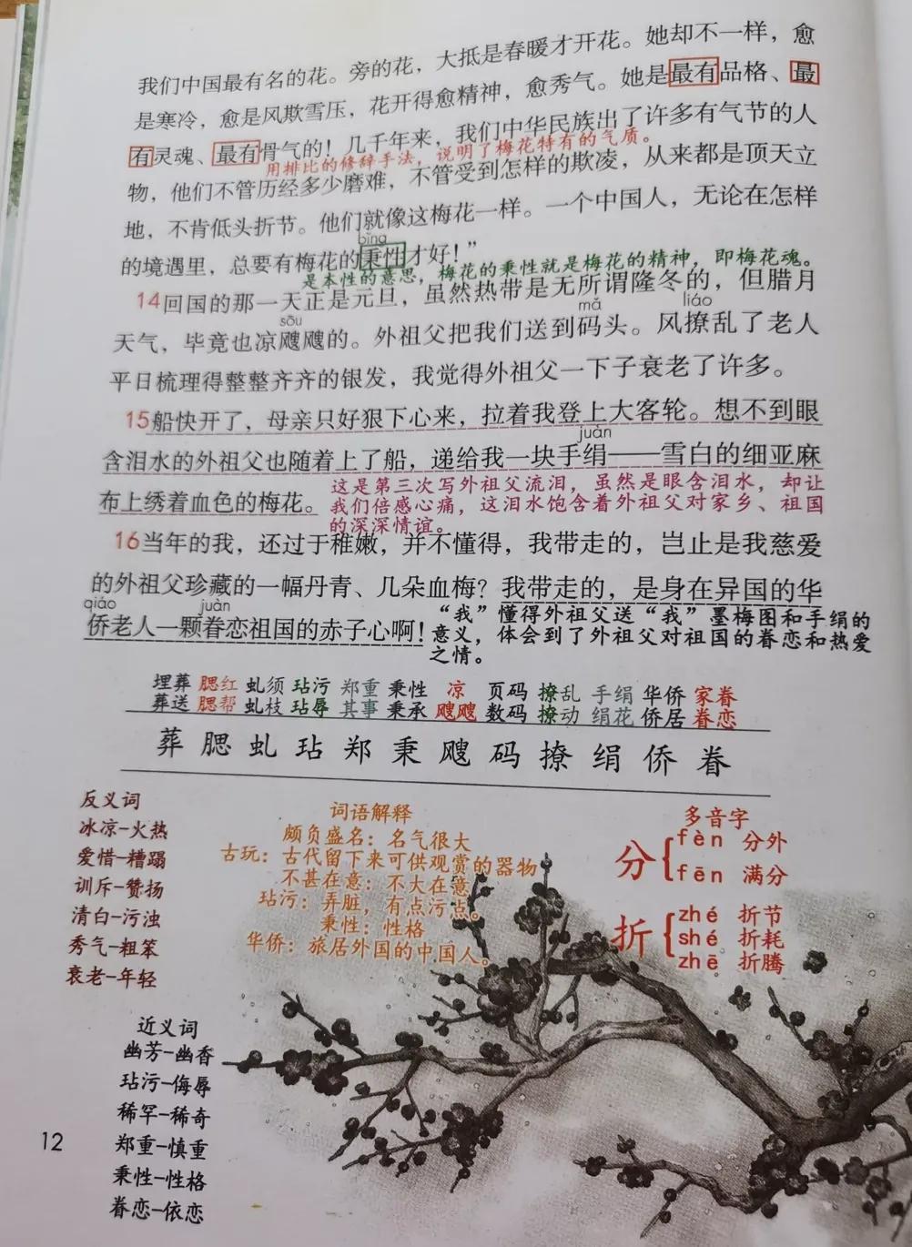 五年级下册语文第四单元笔记完整,牛奶爱面包五年级下册二单元笔记