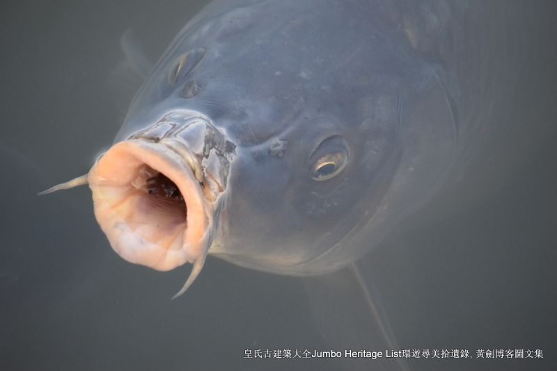 第989回：爱知县中京名古屋，武将之乡发明之都