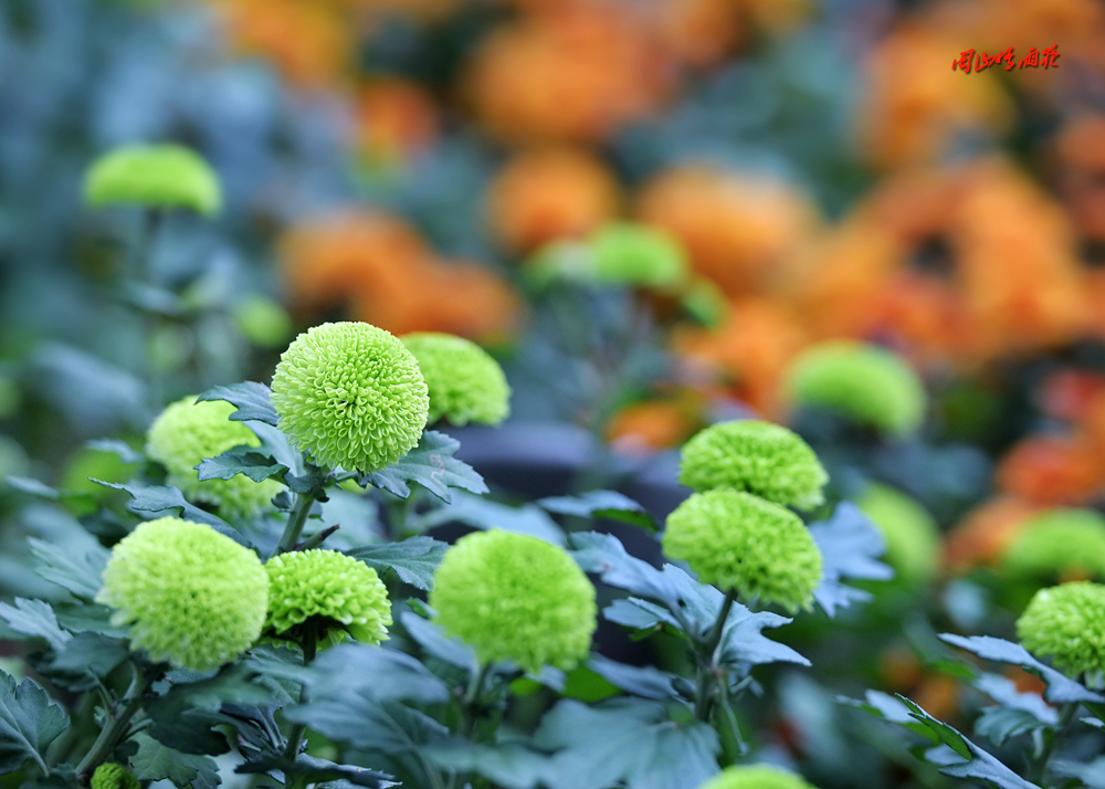 摄影就是记录流逝的时光,摄影捕捉生活的美好瞬间