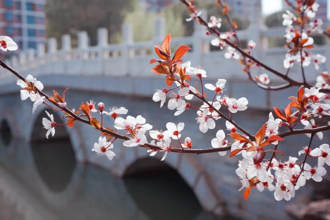 中南财经政法大学在湖北排名,中南财经政法大学财经类排名