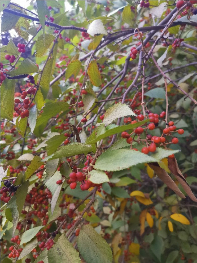 公众人物需要担负什么社会责任,公众人物需要担当更多的道德责任