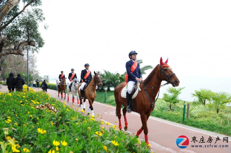 踏马滇池?百万名马乘骑等你来体验