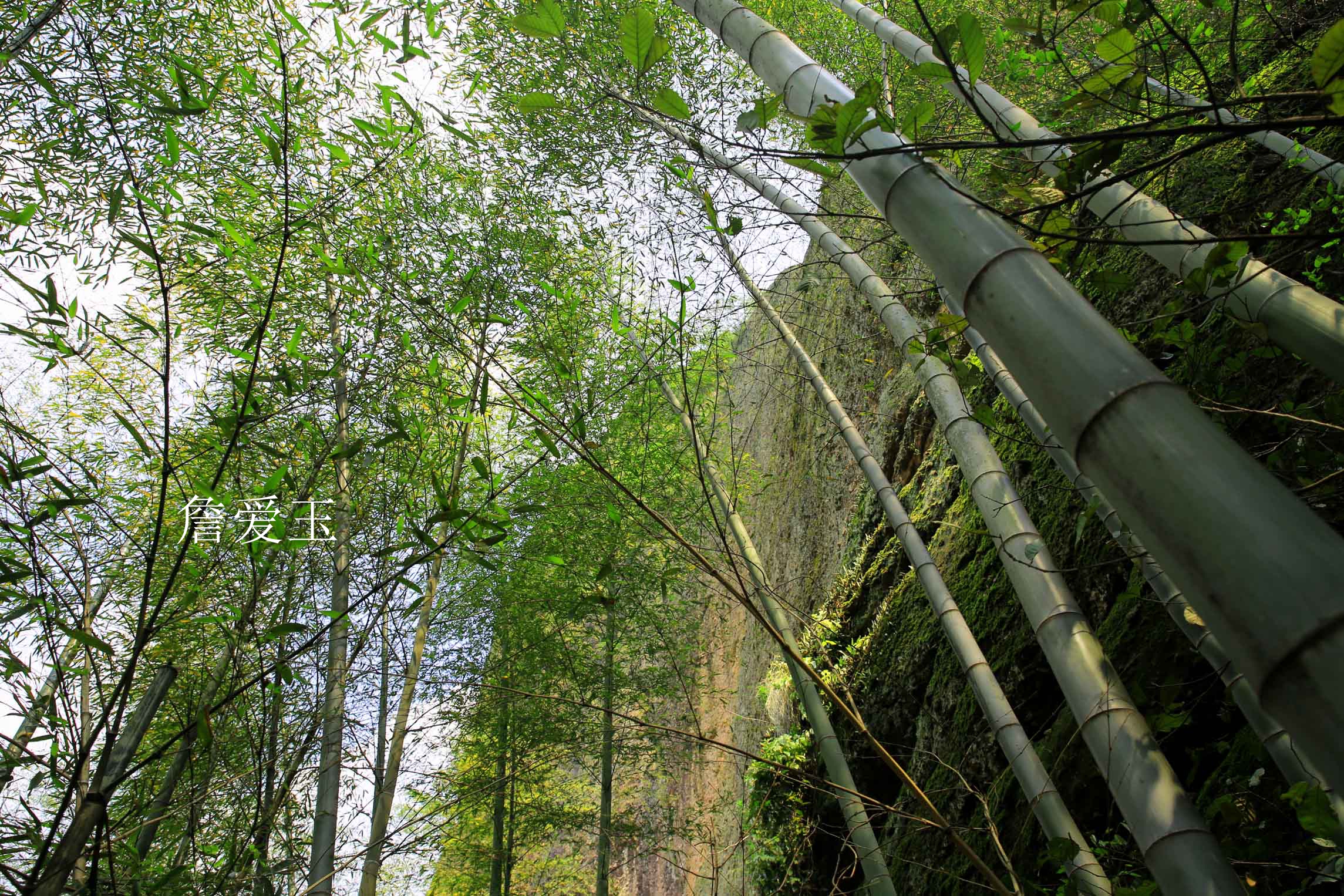 广丰周边一日游旅游景点推荐,广丰五一旅游攻略