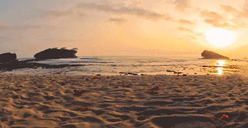 50句唯美动人的诗词送给您,生日十句经典诗句古诗