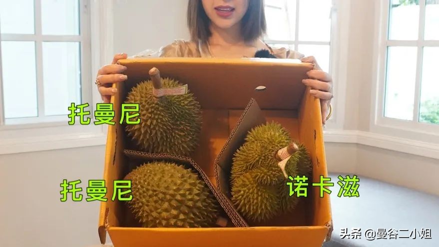 榴莲盲盒的榴莲怎么样,泰国榴莲都有哪些品种