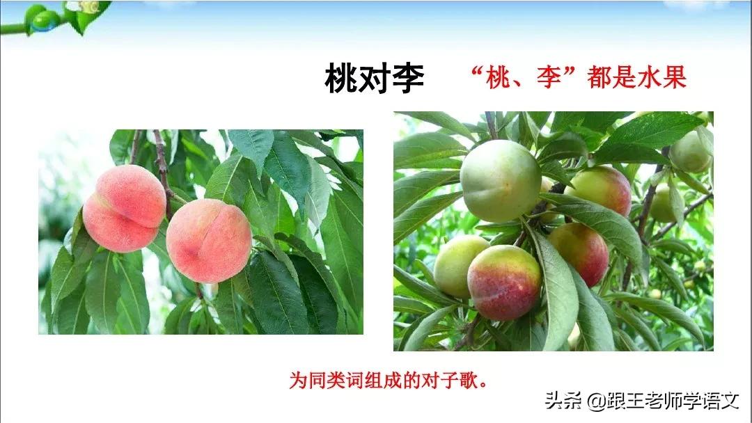 一年级语文下册识字6古对今,部编一年级下册语文识字表朗读