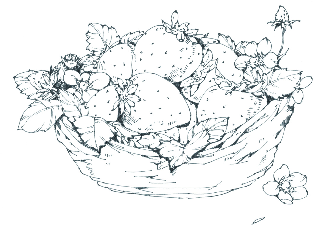 章鱼小丸子草莓,蓝莓章鱼小丸子