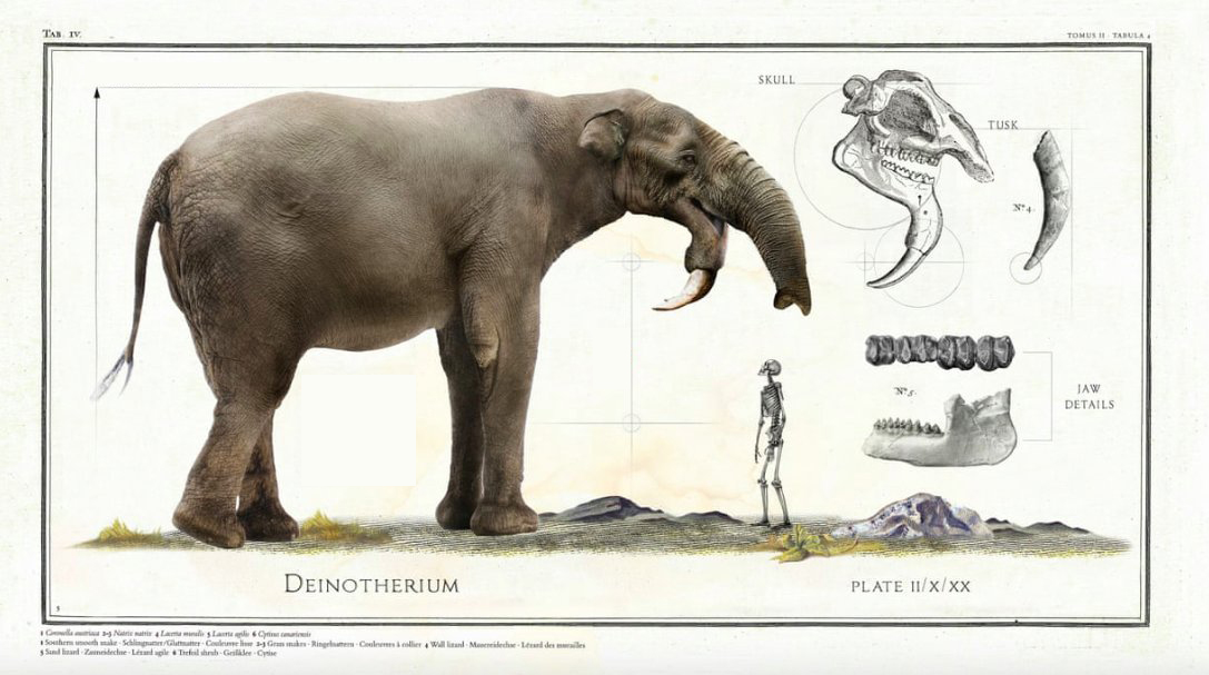 除了恐龙还有哪些已灭绝的生物,史前生物除了恐龙还有什么