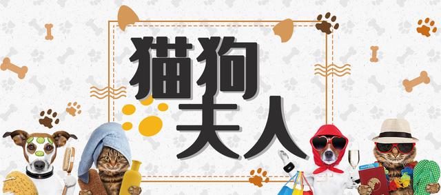 犬脐疝,小狗有脐疝怎么引起的