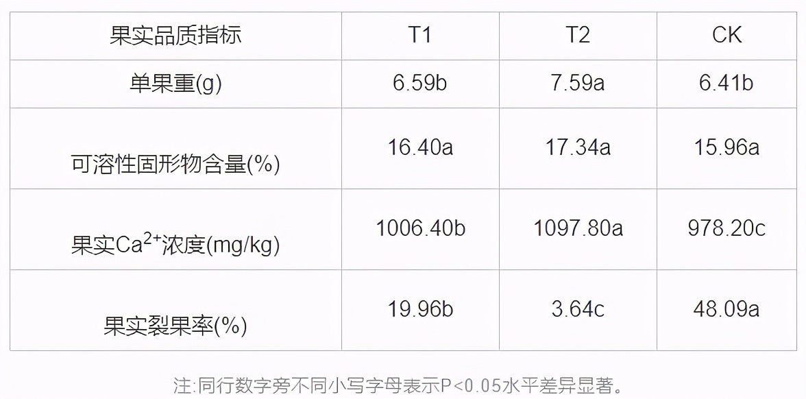 家中盆栽樱桃好吗视频,樱桃如何做小盆栽好看