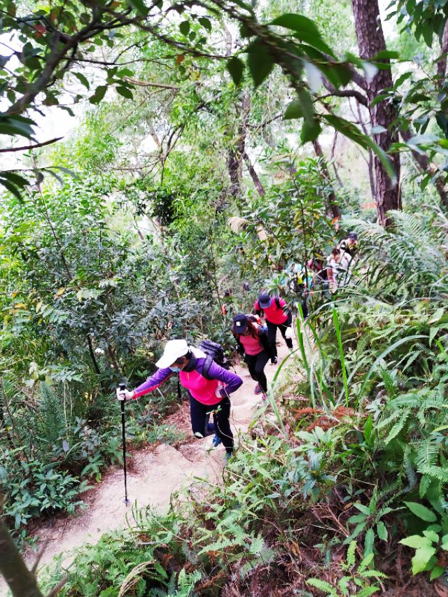 周日跟随珠海户外网板樟山游记