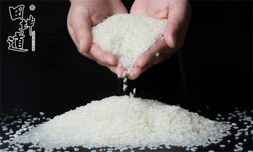 田坤道大米市场占有率多少,田坤道粮油批发零售