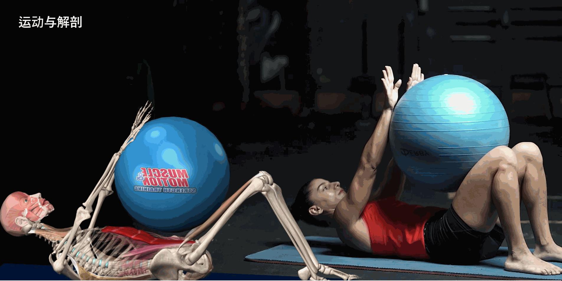 给大家示范一下练腹肌最好办法,又快又有效又简单的腹肌怎么练