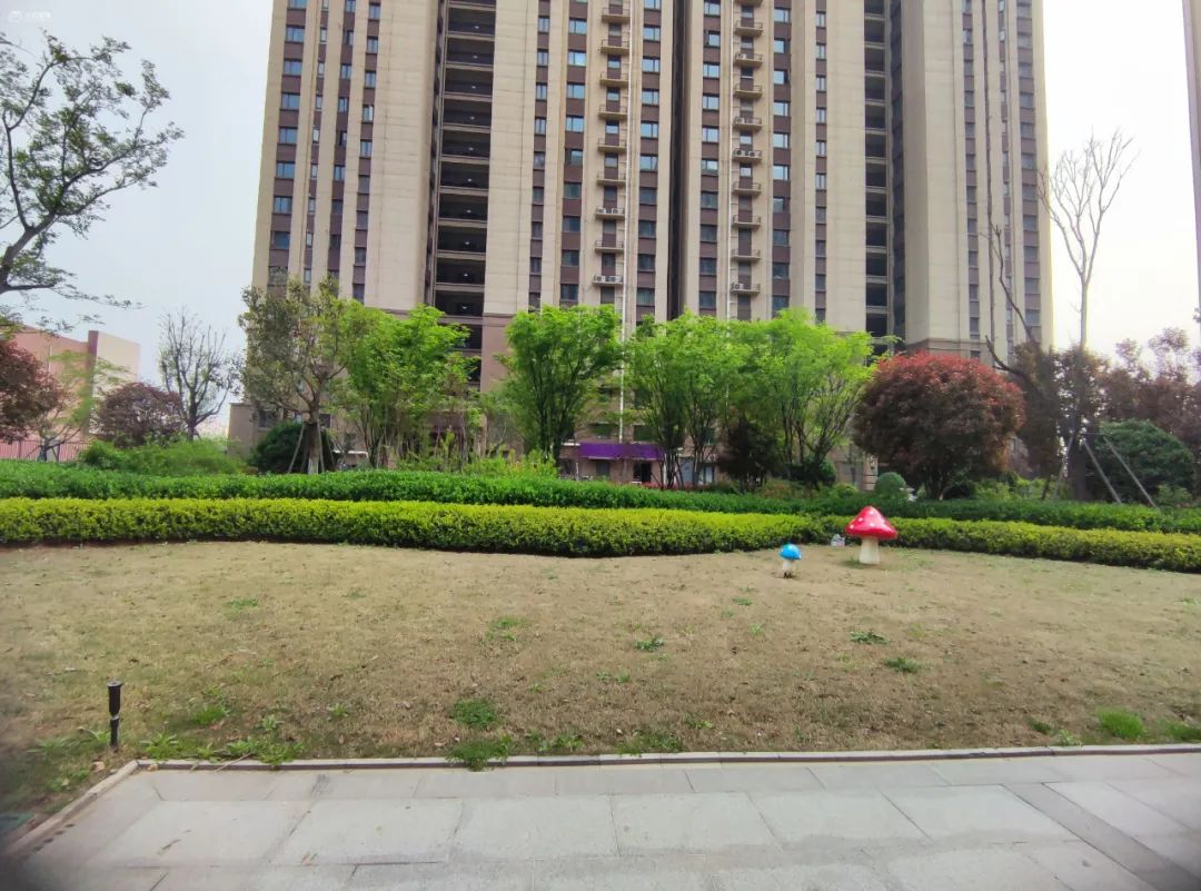 五星级的家是什么样的,五星级的家