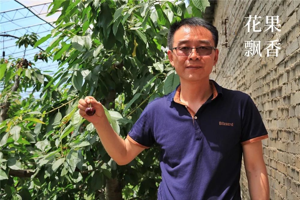 2020种什么水果最赚钱,2021种植什么水果最赚钱