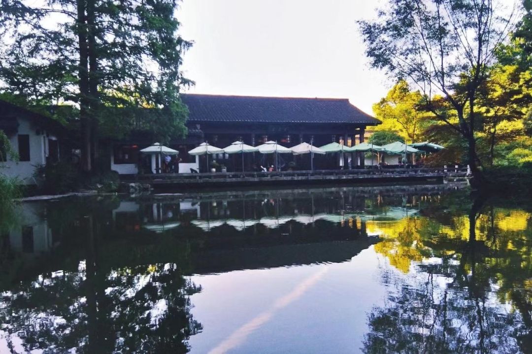 花港一楼茶楼,花港早茶