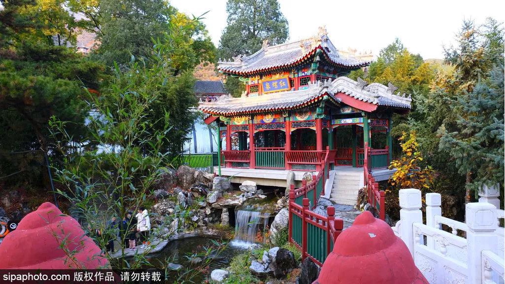 七夕宝典|山有木兮卿有意，昨夜星辰恰似你~