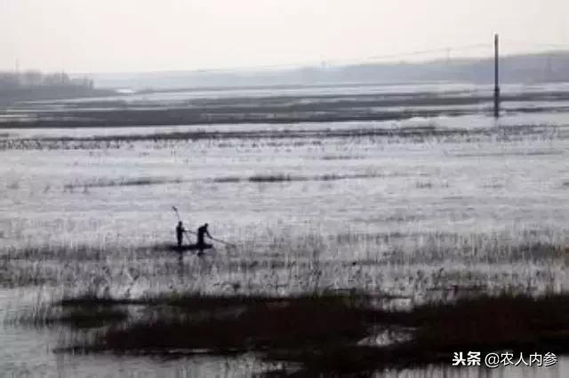 文安洼是什么,文安县的历史变迁