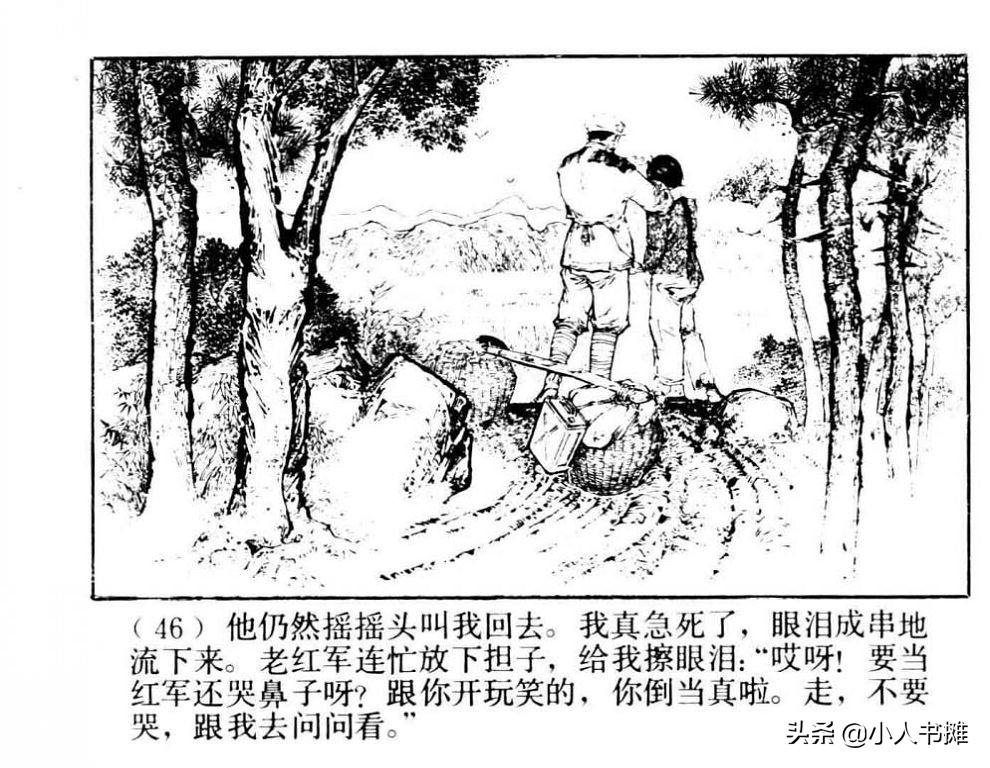 朝阳花-上海人民美术出版社1981陆成法陆小弟绘「上」