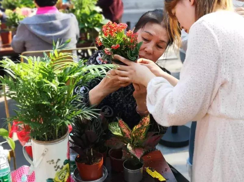 胡同里的日常生活,胡同里的北京生活
