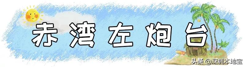 深圳最值得免费去的十大景点,深圳有哪些地方是免费景点