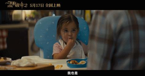 一条狗的使命2集锦,一条狗的使命2催泪片段