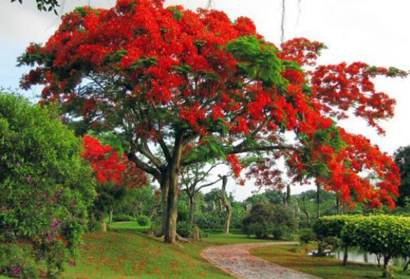 「词风雅韵」季国强｜守望沧桑追过往雄关似铁锁流年