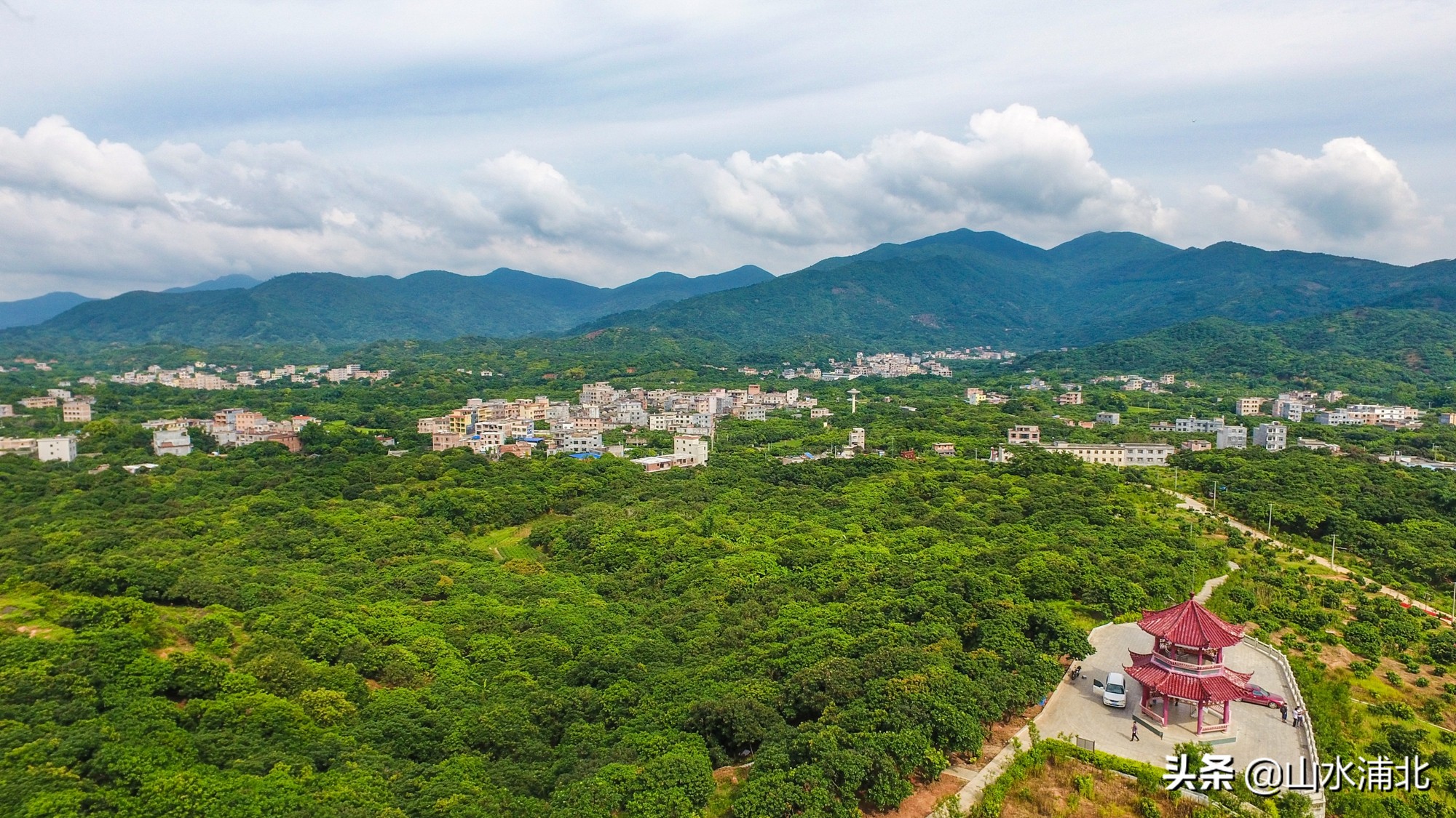 浦北县特色产业助力乡村振兴,产业发展势头旺乡村振兴干劲足
