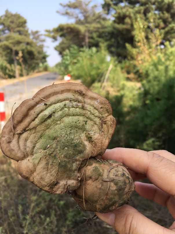 康平周边五一自驾游免费景点攻略,康平县夏季旅游