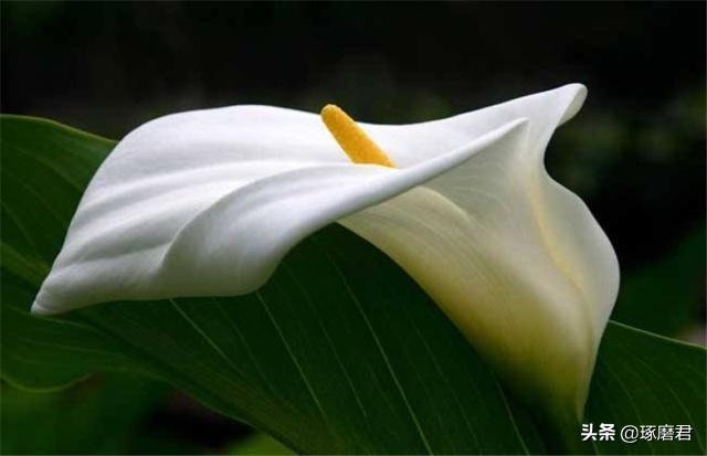 曾国藩七大箴言,曾国藩讲人生大智慧胜读十年书