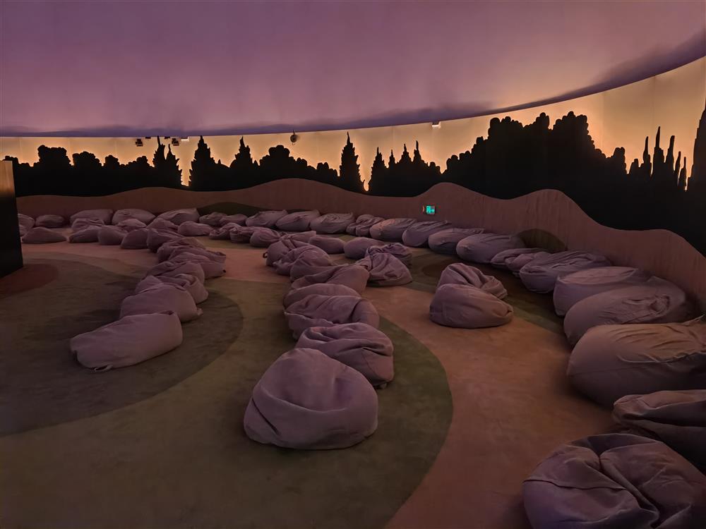 上海地标网红打卡地原视频,上海打卡网红地星空