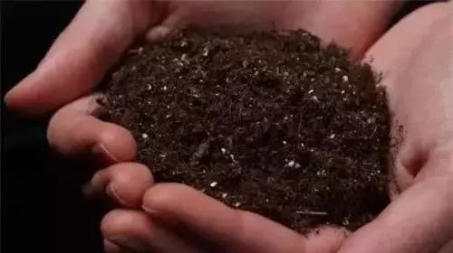 生物菌肥的最佳使用方法,生物菌肥的用途与病虫害的防治