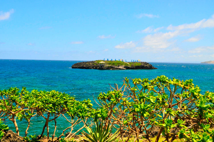 出国旅游可以代购多少,出国旅游要帮同学代购吗