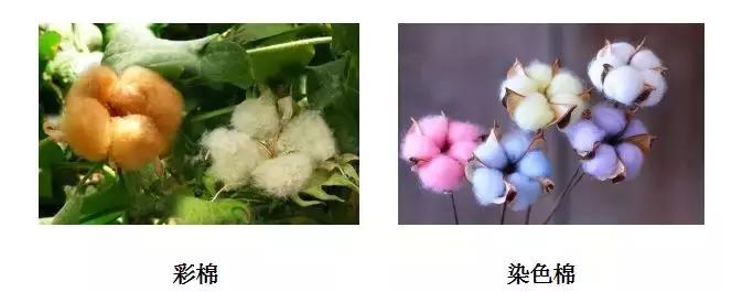 纺织纤维常用的鉴别方法有,纺织纤维快速鉴别探讨